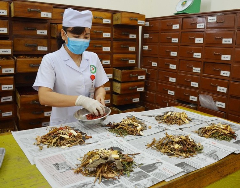 Vị thuốc cổ truyền phải công bố tiêu chuẩn chất lượng trước khi lưu hành